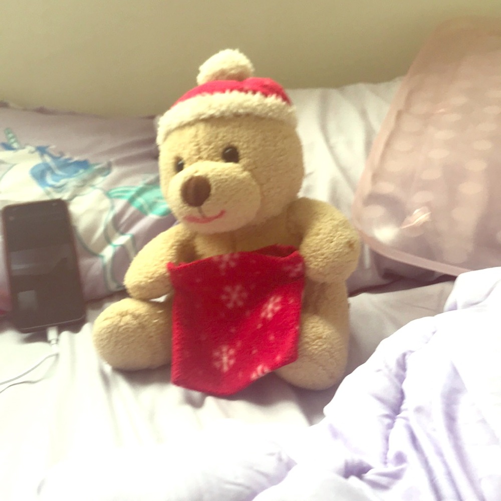 Teddy bear